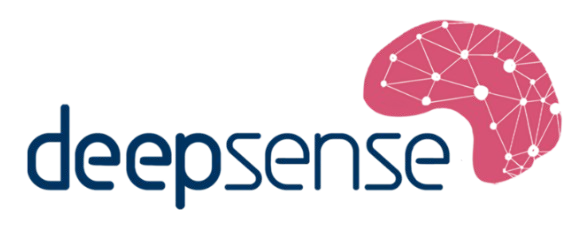 Deepsense logo